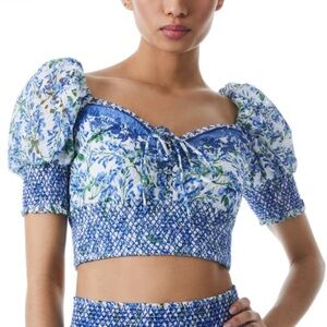 Blue Puff Sleeve Smocked Crop Blouse